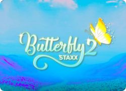 Butterfly staxx 2